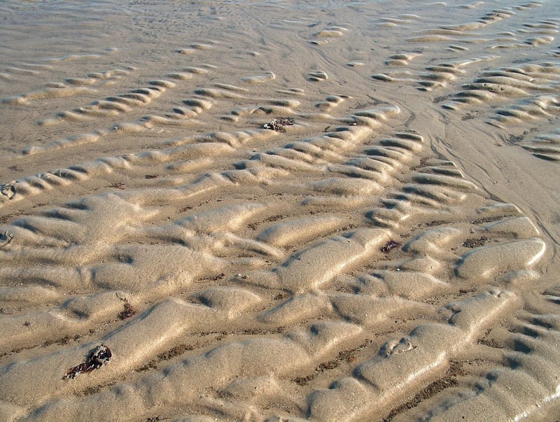 Scottish Handfasting